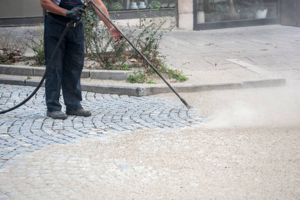 Best Roof Washing  in Scotchtown, NY